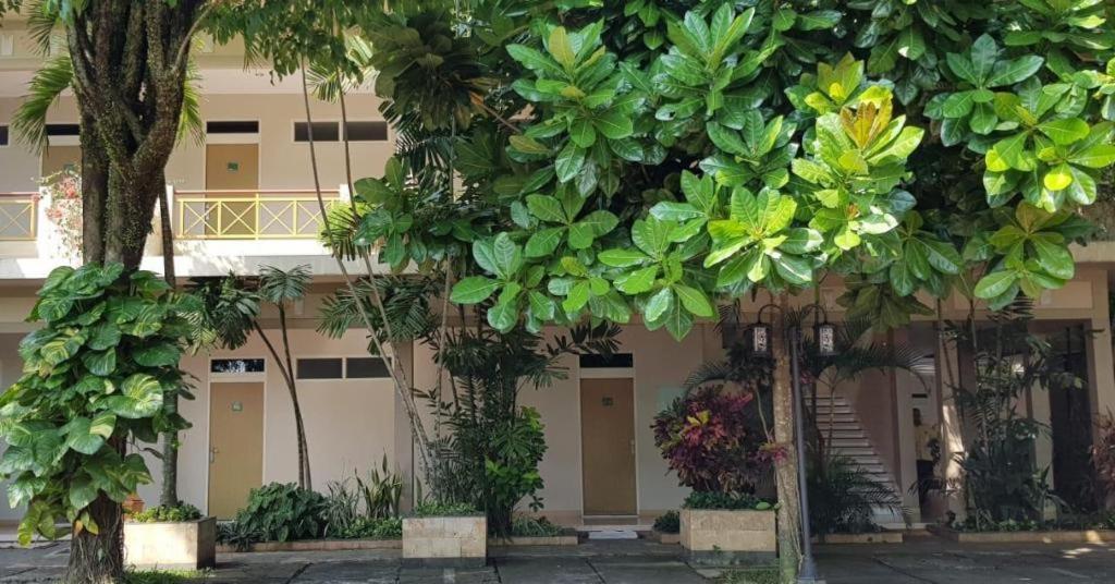 Hotel Sulawesi Jembel Zewnętrze zdjęcie